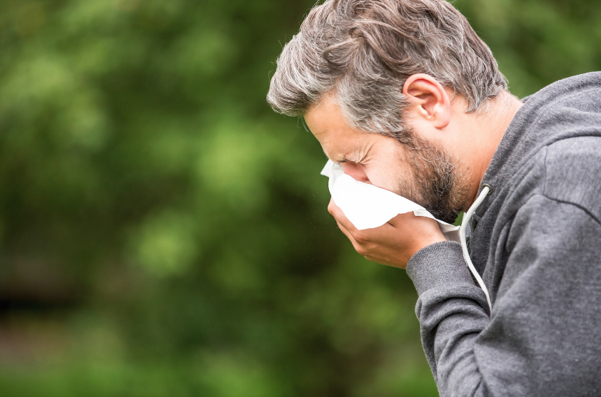 common fall allergies
